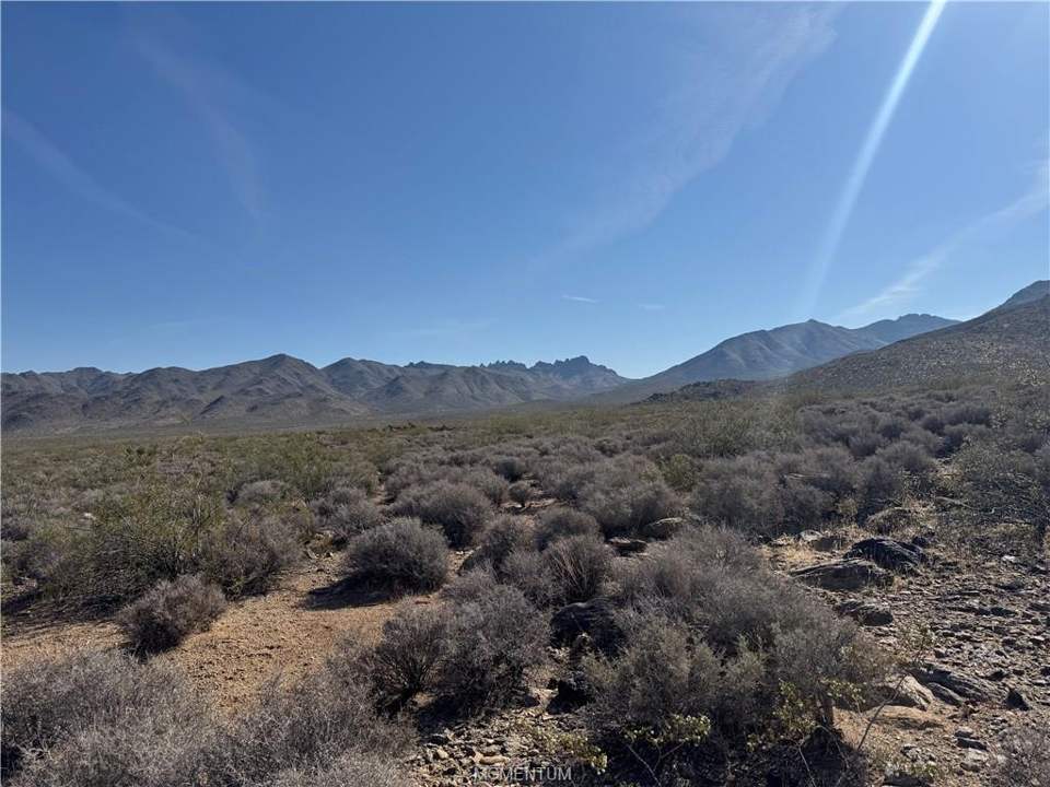 Approximately 5 acres in Dolan Springs in Dolan Springs: View