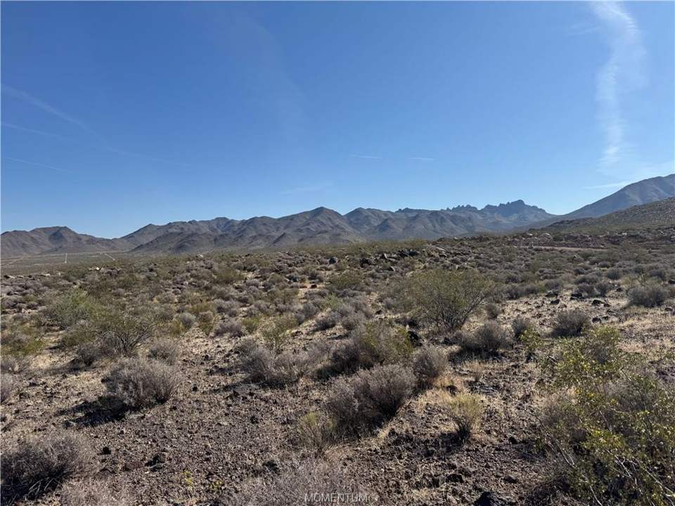 Approximately 5 acres in Dolan Springs in Dolan Springs: View