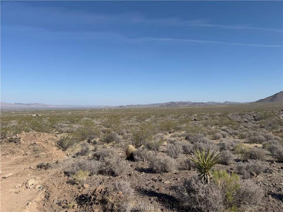 Approximately 5 acres in Dolan Springs in Dolan Springs: View
