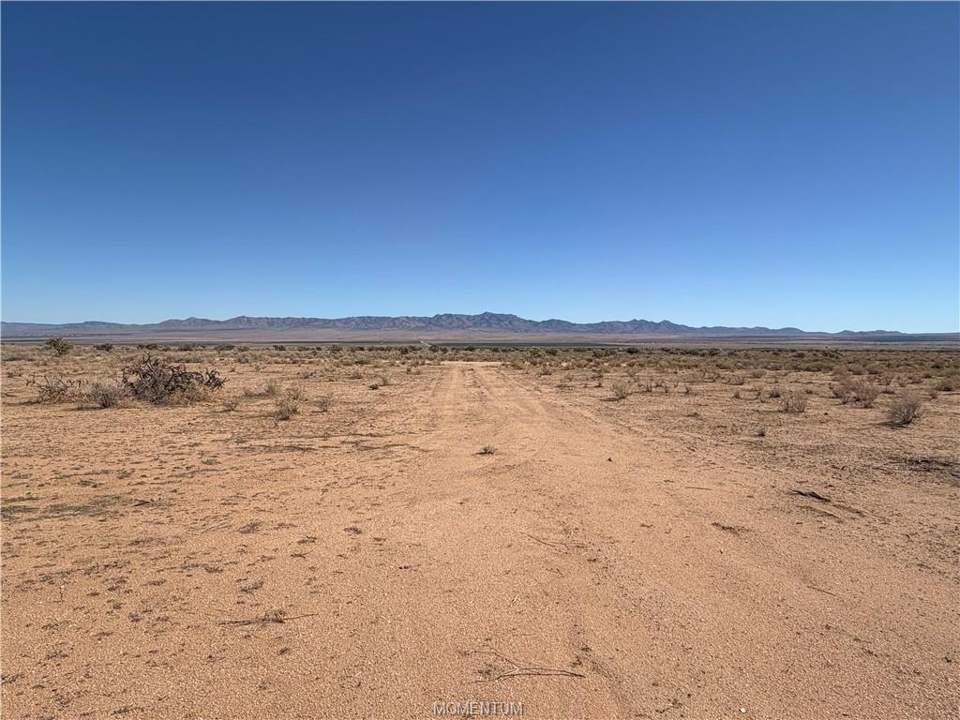 2.08 acres in Kingman in Kingman: Looking East down the drive from the conex