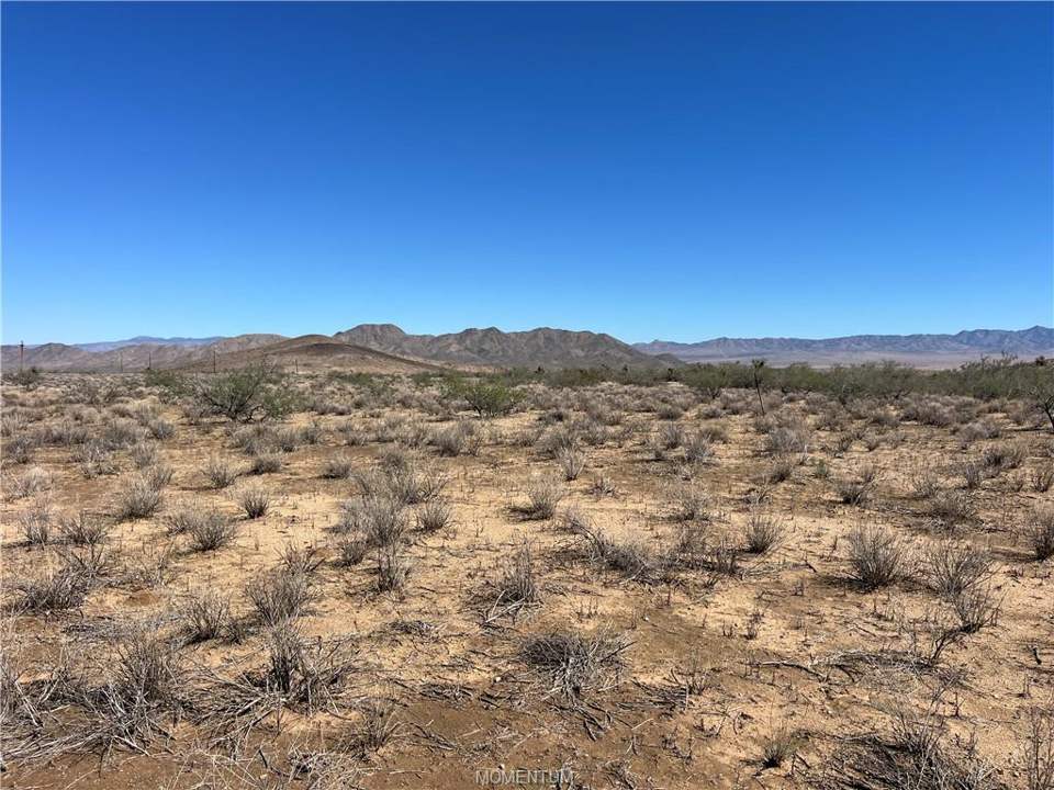 10.03 acres in Kingman in Kingman: Southern end of parcel.