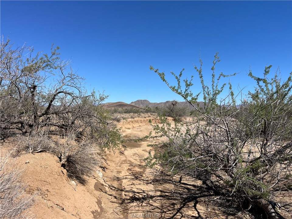 10.03 acres in Kingman in Kingman: Natural Wash at SE end of the eastern parcel.