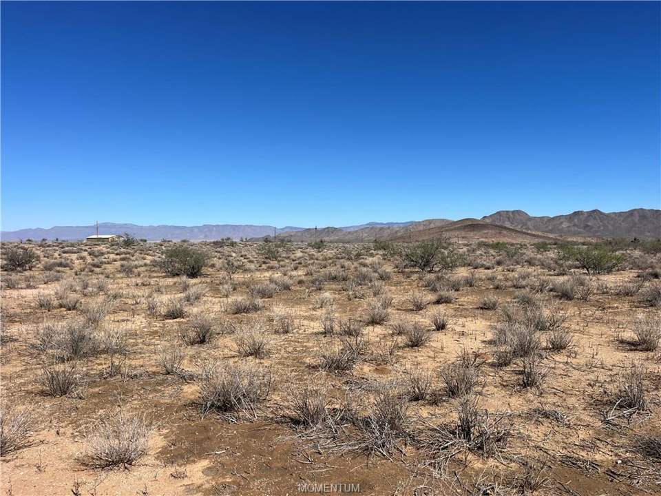 10.03 acres in Kingman in Kingman: Looking north from the southern property line. Gar