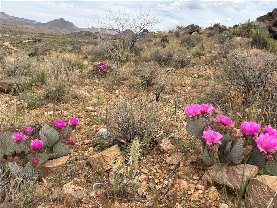 320 acres in Kingman in Kingman, photo 1