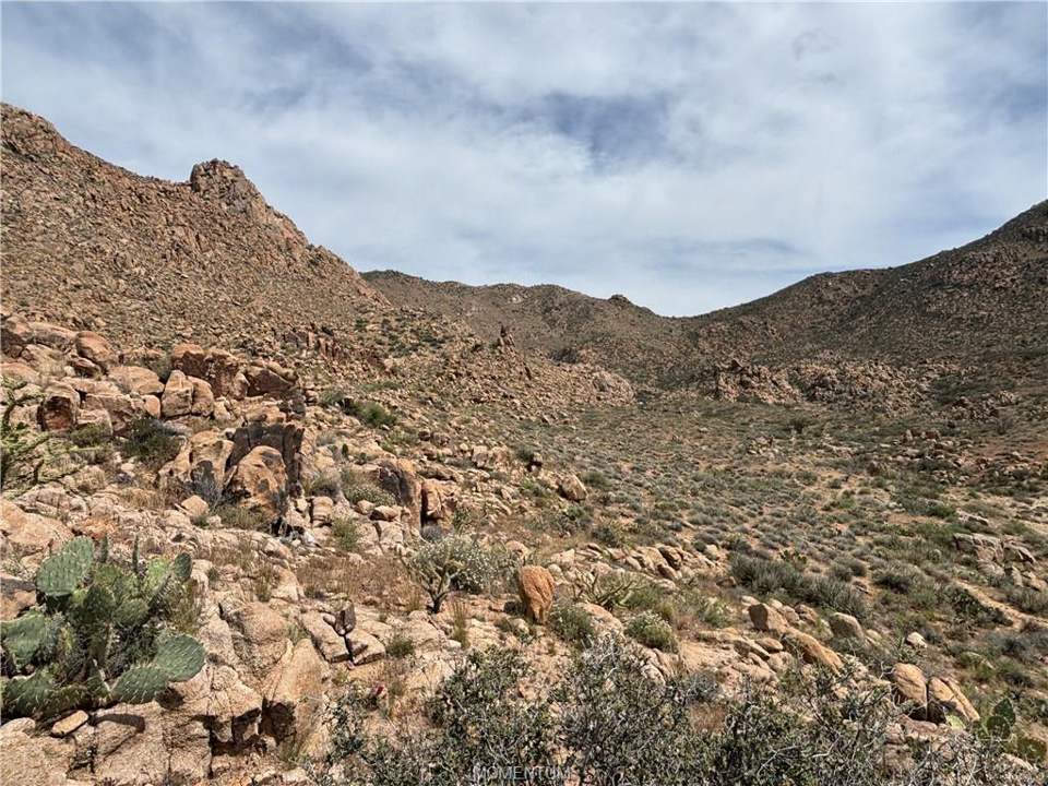 320 acres in Kingman in Kingman: View