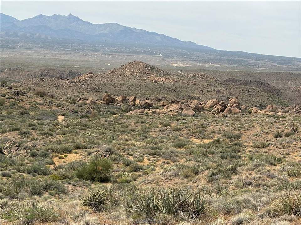 320 acres in Kingman in Kingman: View