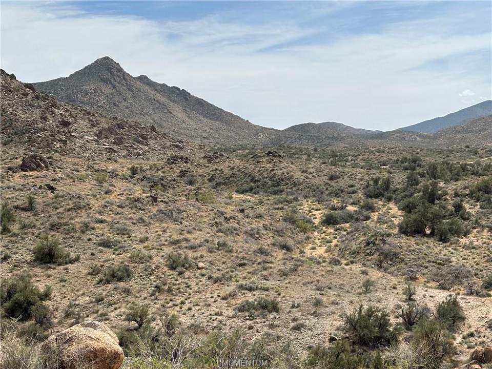 320 acres in Kingman in Kingman: View