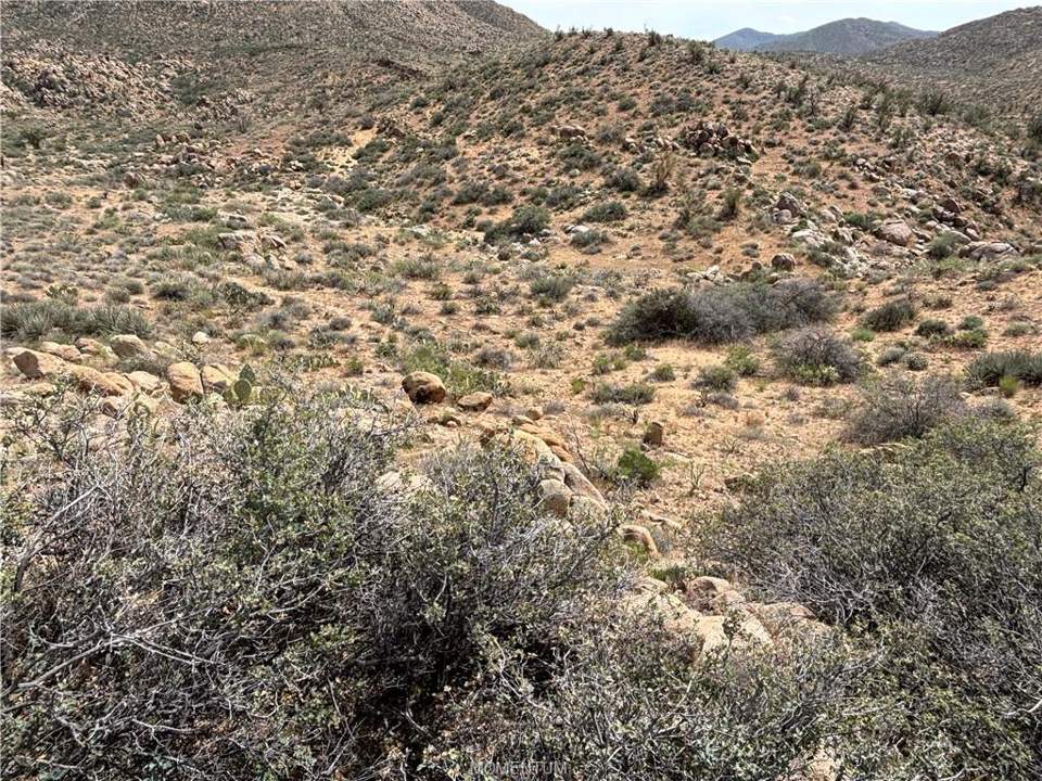 320 acres in Kingman in Kingman: View