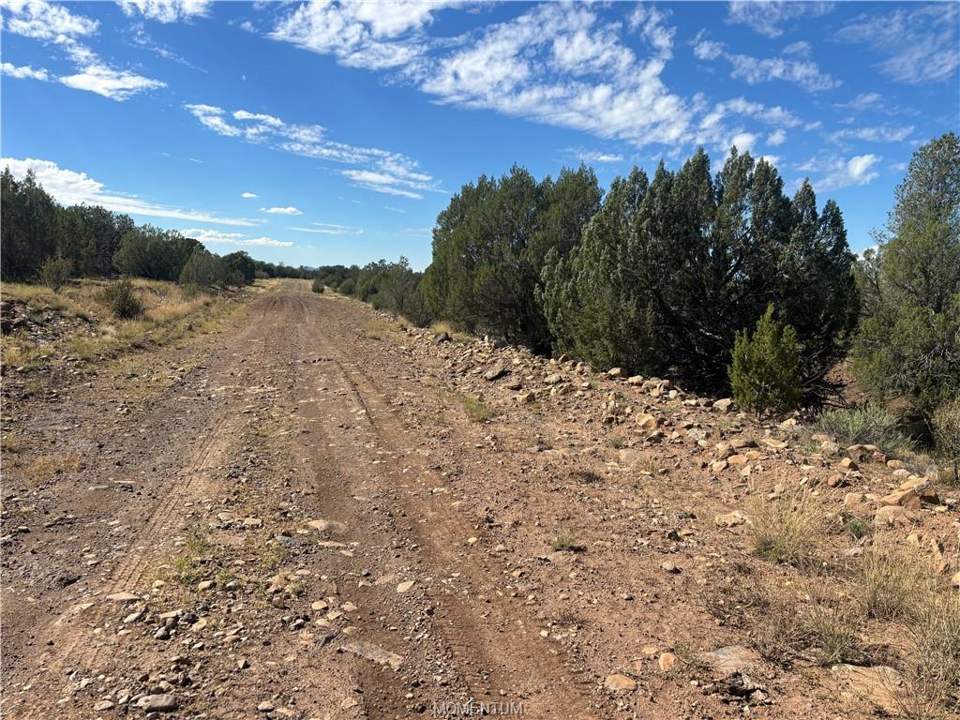38.6 acres in Seligman in Seligman: Community