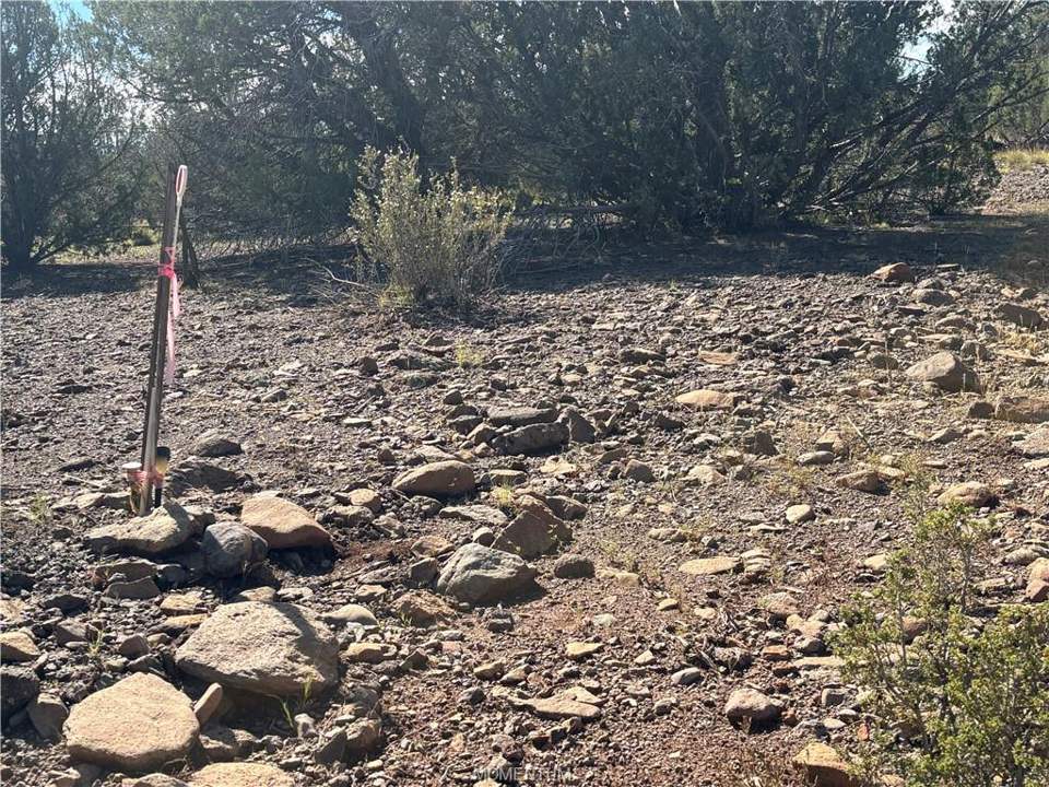 38.6 acres in Seligman in Seligman, photo 3