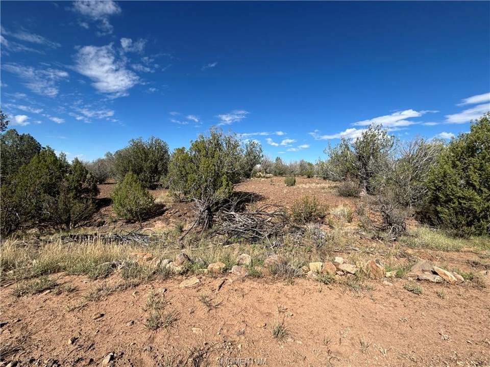 38.6 acres in Seligman in Seligman, photo 4