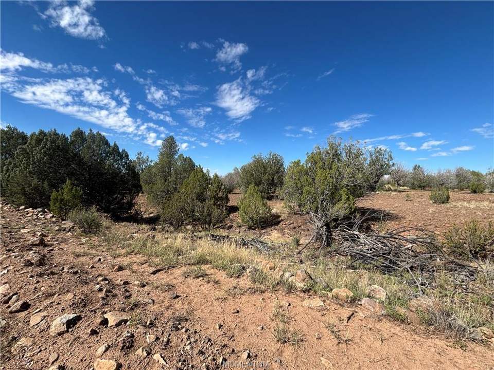38.6 acres in Seligman in Seligman, photo 5
