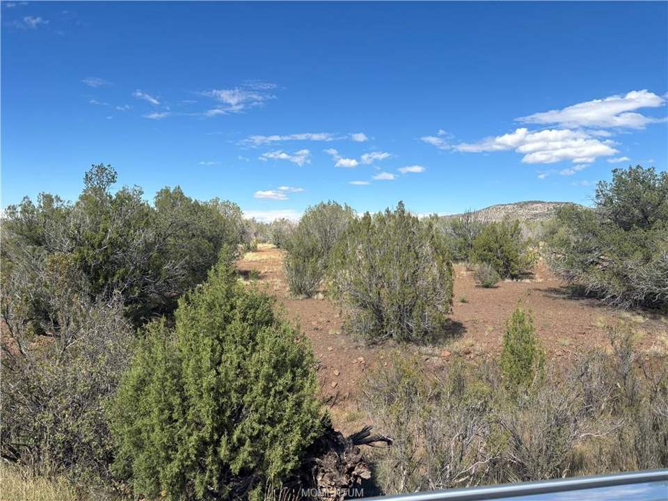 38.6 acres in Seligman in Seligman, photo 6