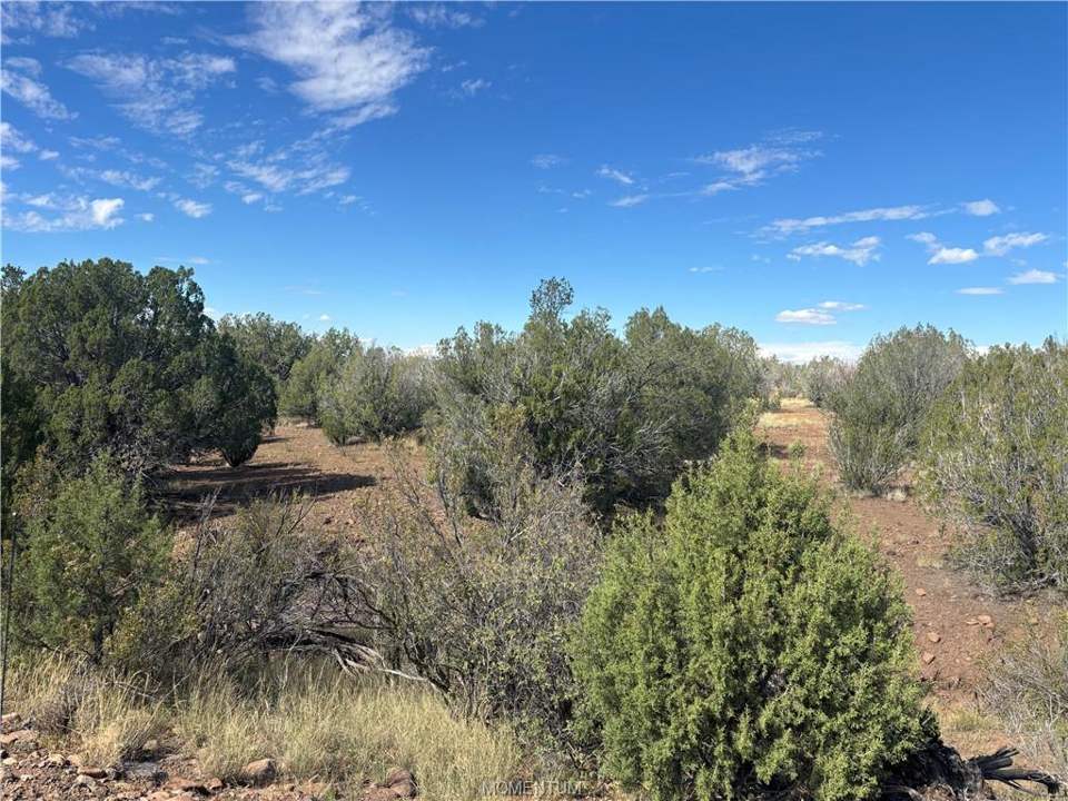 38.6 acres in Seligman in Seligman, photo 7