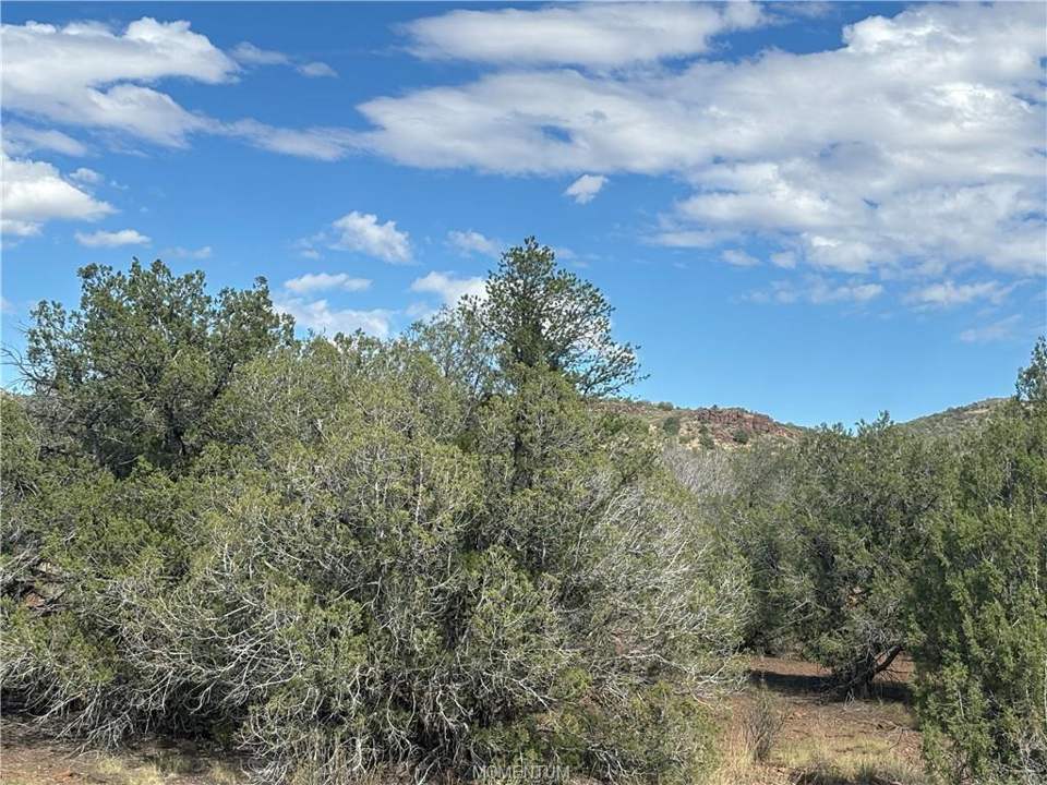38.6 acres in Seligman in Seligman: View