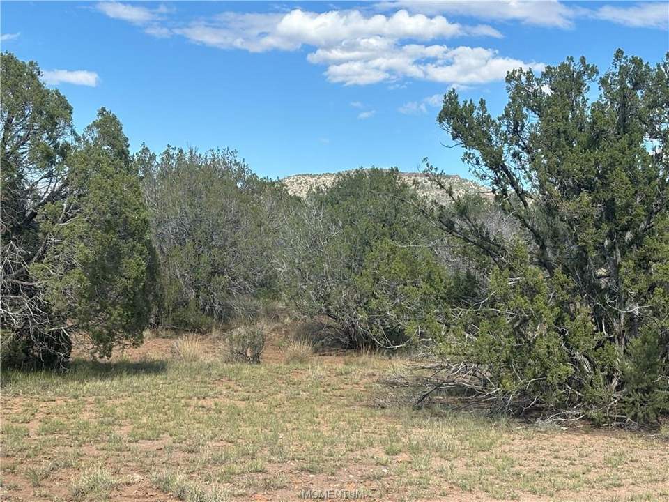 38.6 acres in Seligman in Seligman, photo 9