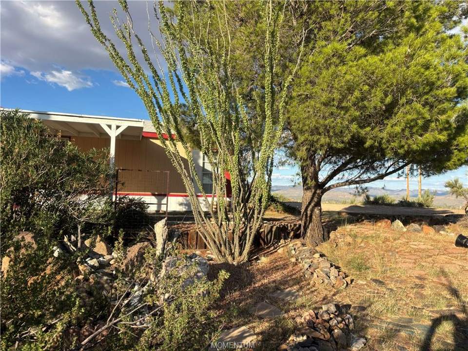 3 bed, 2 bath home on 26 acres in Kingman: Yard