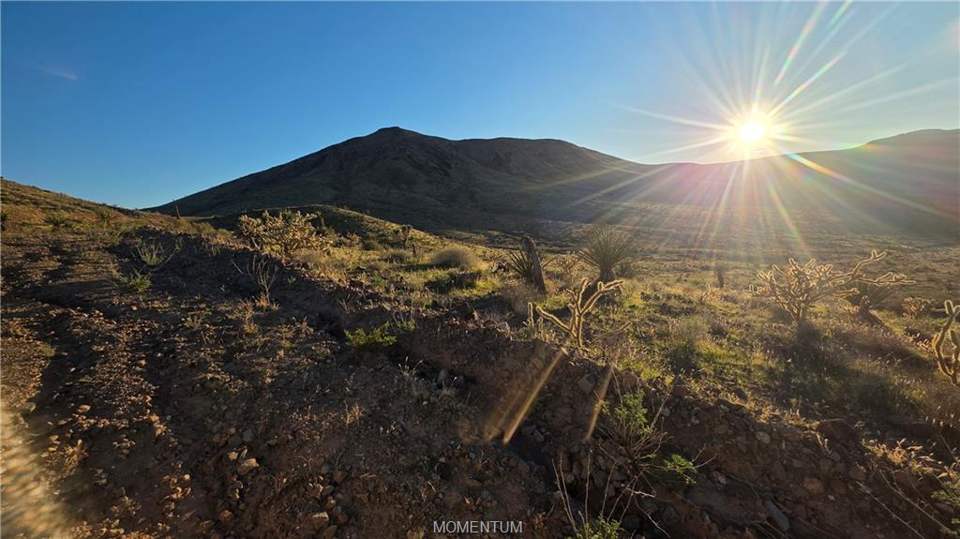 36.39 acres in White Hills in White Hills: View