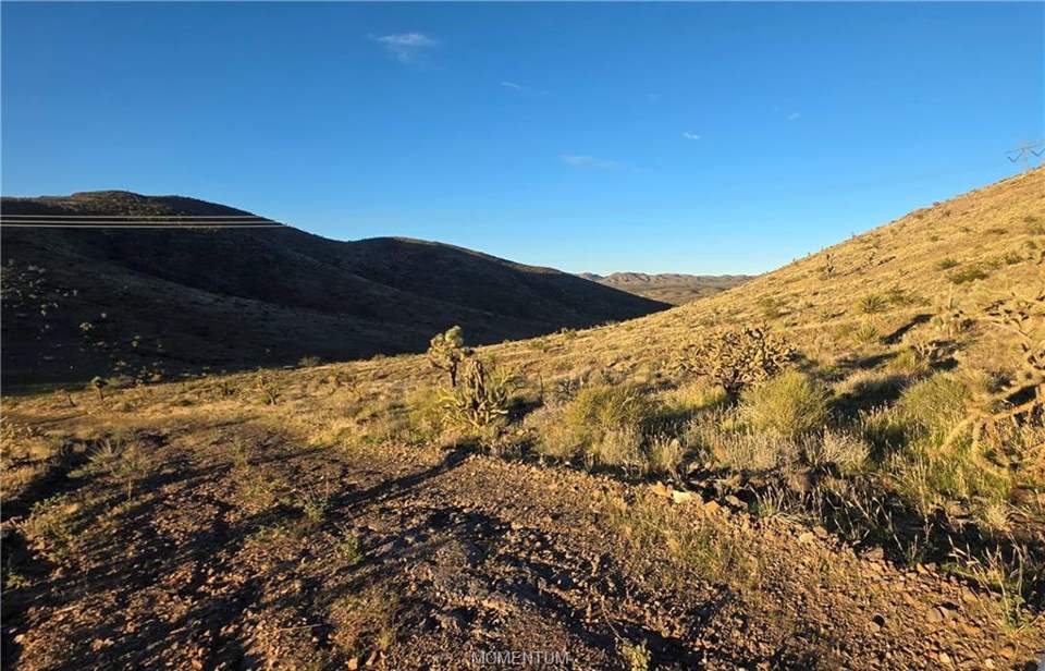 36.39 acres in White Hills in White Hills: View