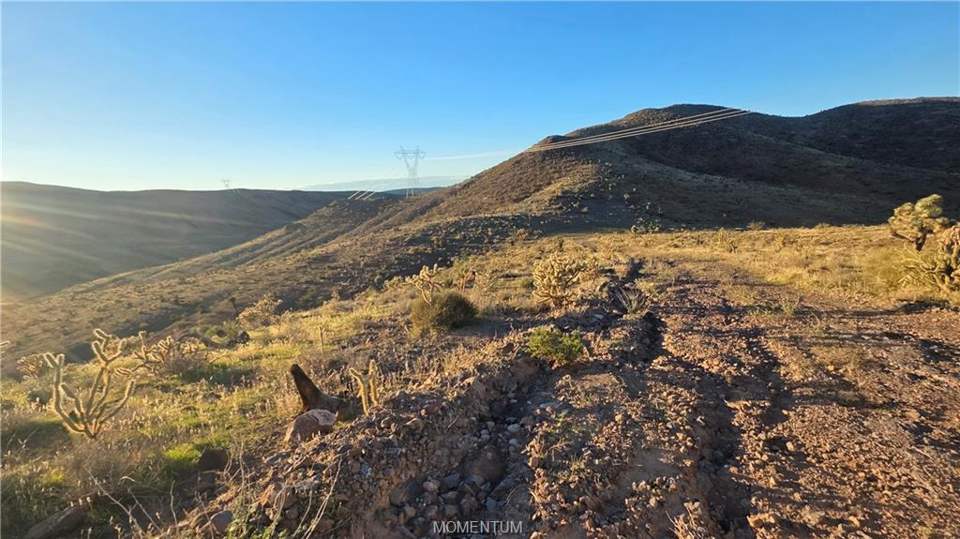36.39 acres in White Hills in White Hills: View