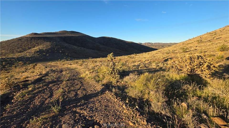 36.39 acres in White Hills in White Hills: View
