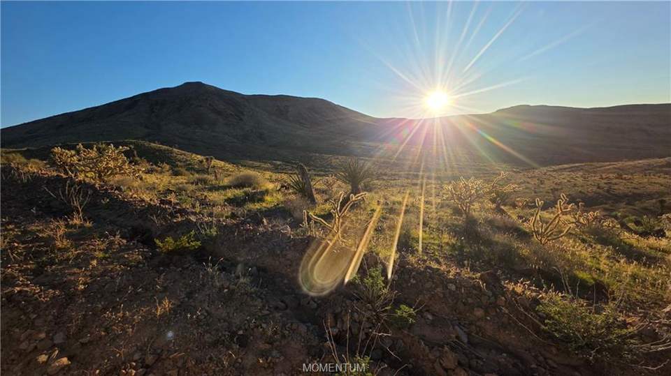 36.39 acres in White Hills in White Hills: View