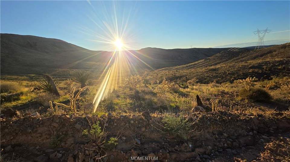 36.39 acres in White Hills in White Hills: View