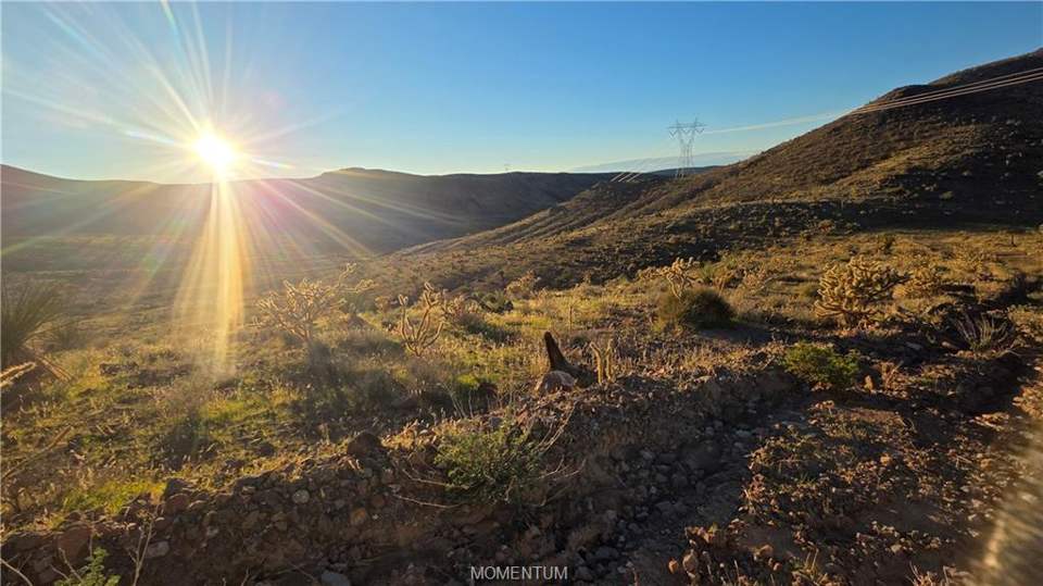 36.39 acres in White Hills in White Hills: View