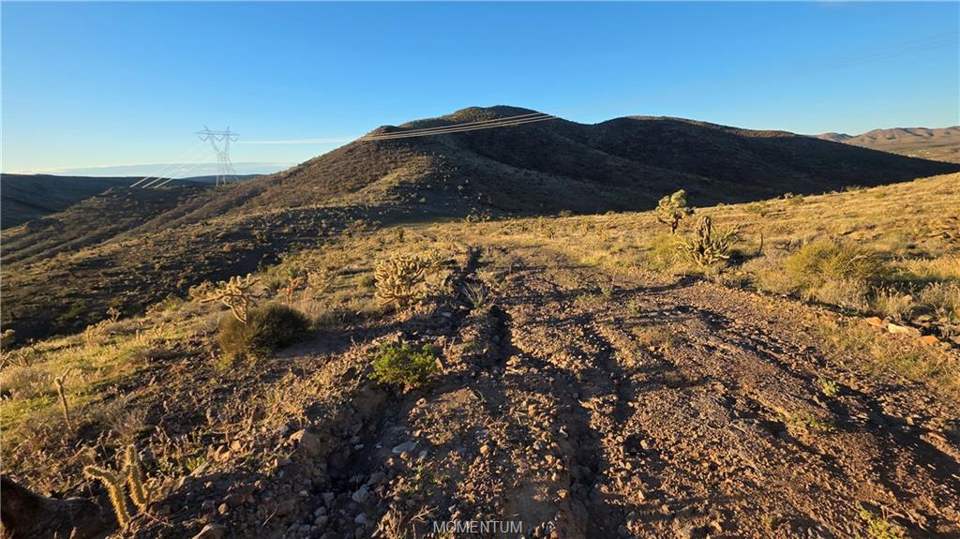 36.39 acres in White Hills in White Hills: View