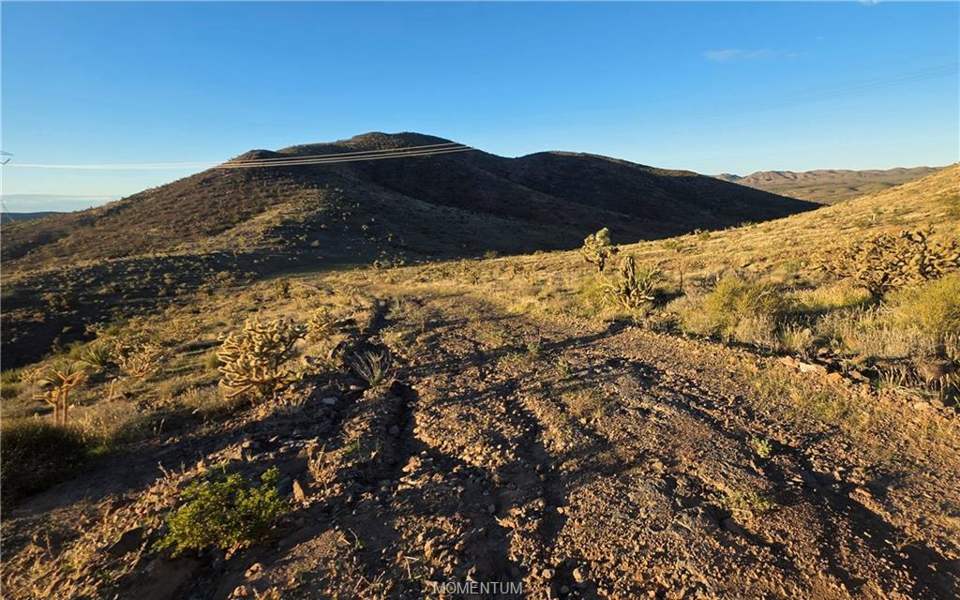 36.39 acres in White Hills in White Hills: View