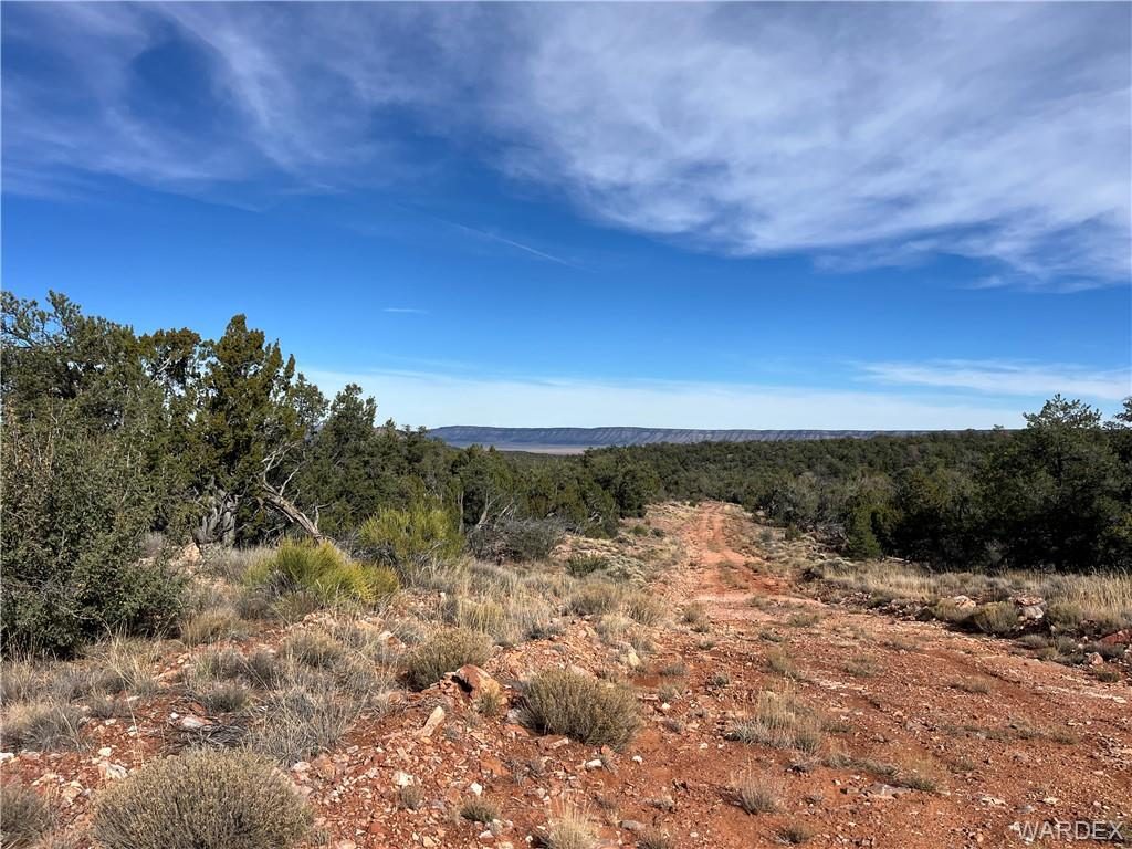 39.33 acres in Seligman, 301-24-325 N Duffi's Bluffs Road, Seligman, AZ 86337