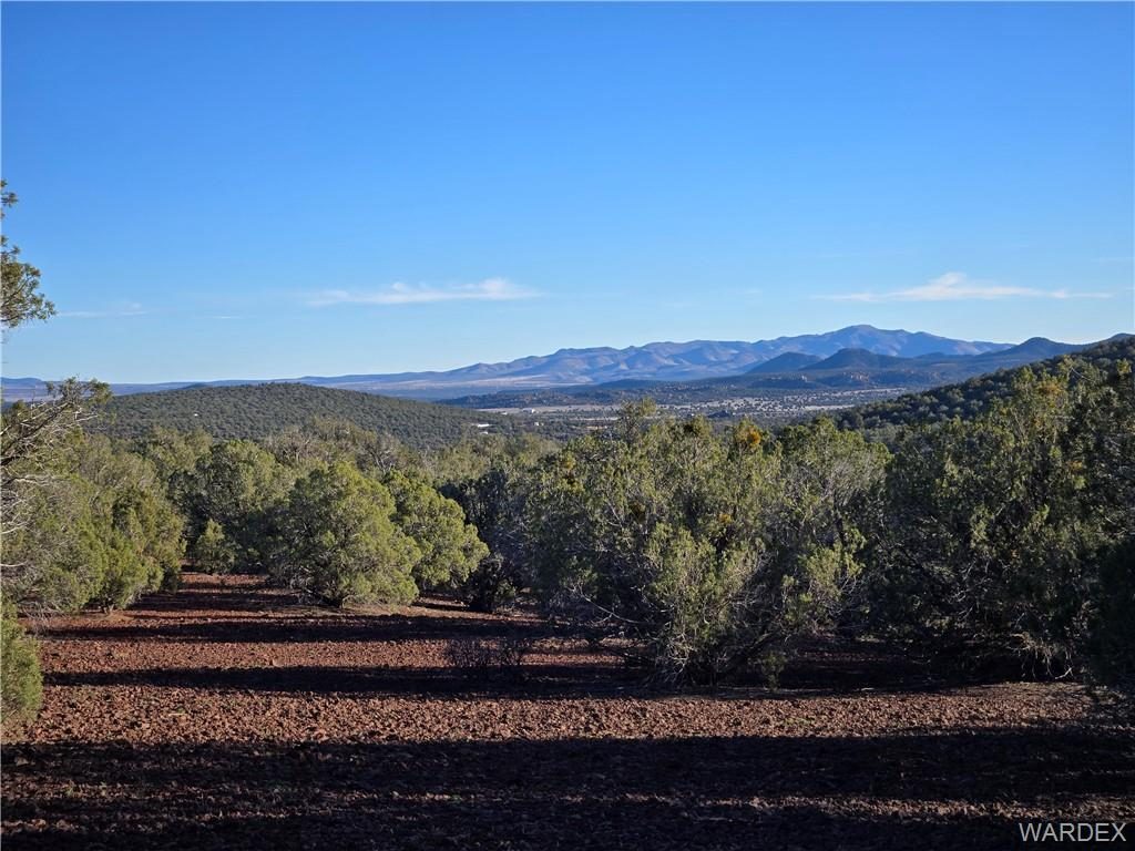 36.1 acres in Kingman, 352-26-012 E Wapiti Dr., Kingman, AZ 86401