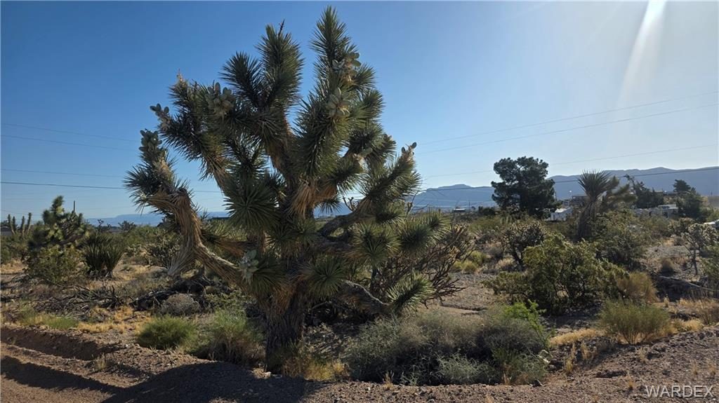 0.66 acres in Meadview, 29952 Driftwood Drive, Meadview, AZ 86444