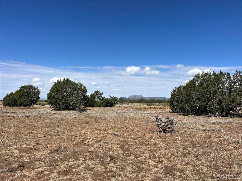 19.08 acres in Seligman, 36685 W Younger Trail, Seligman, AZ 86337
