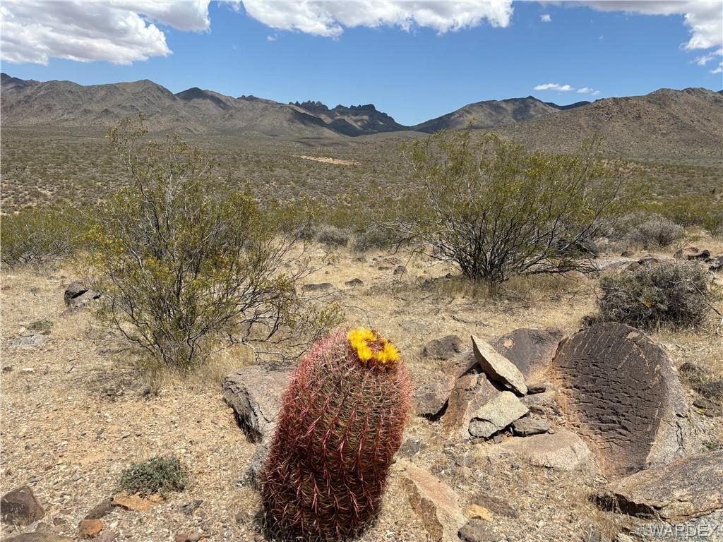 4.33 acres in Dolan Springs, 316-05-033 June Road, Dolan Springs, AZ 86441