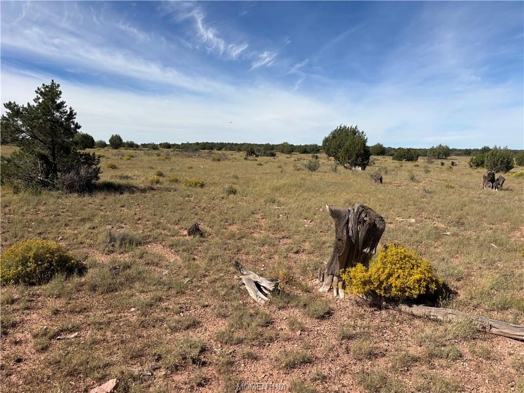 40 acres in Seligman, 301-31-313 N Hyde Park Rd, Seligman, AZ 86337