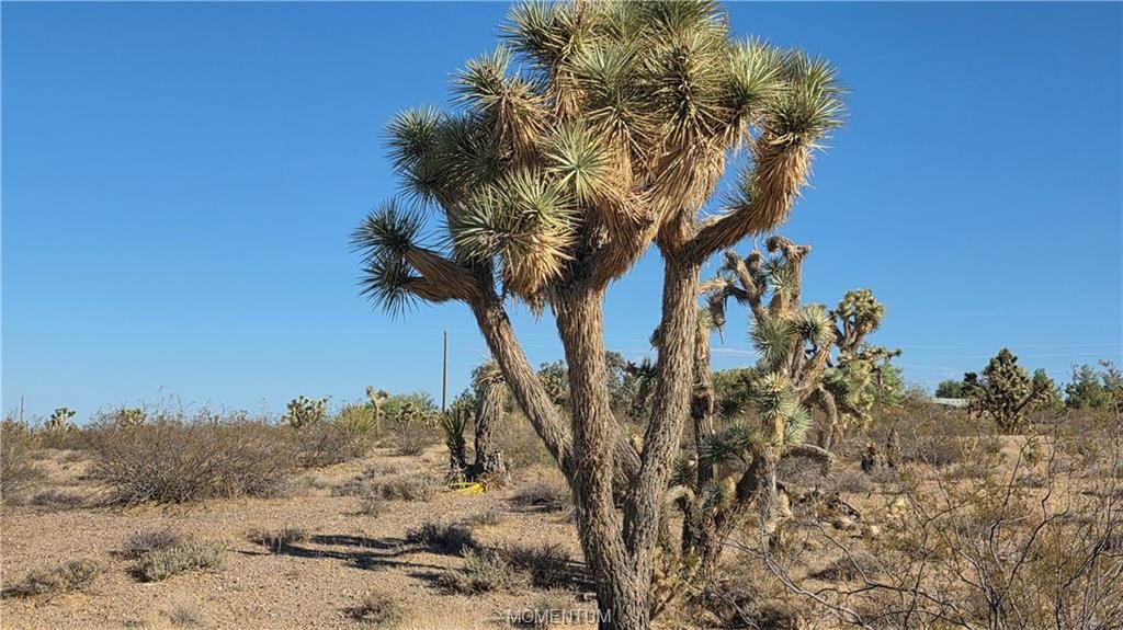 1.03 acres in White Hills, 21435 W Palm Desert Drive, White Hills, AZ 86445