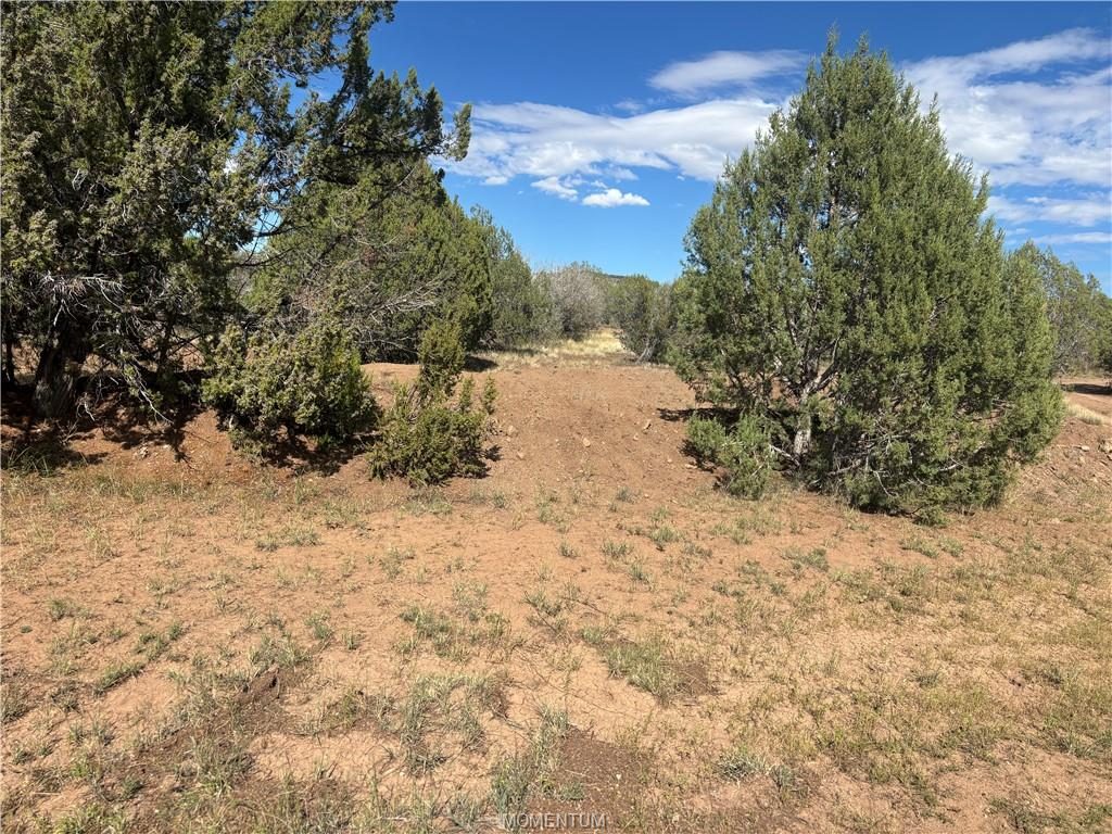 38.6 acres in Seligman, 301-05-190 Dragon Den, Seligman, AZ 86337